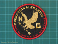 2013 Operation Alert